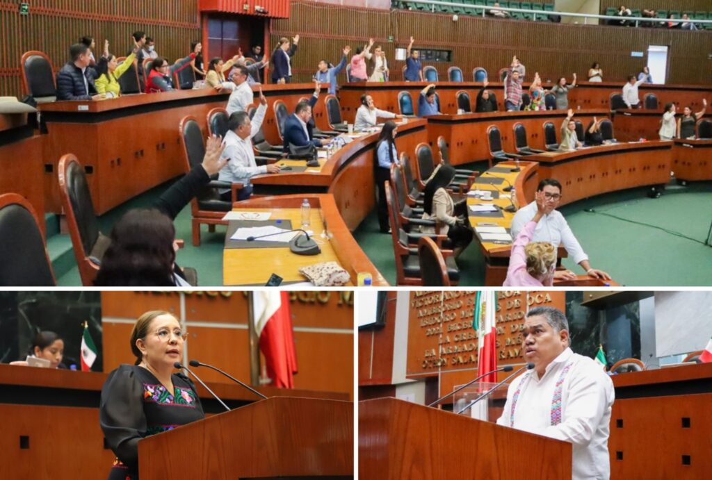 APRUEBA EL CONGRESO REFORMA PARA RECONOCER LA “DISCAPACIDAD INTELECTUAL” Y QUE RECIBA LA ATENCIÓN ADECUADA